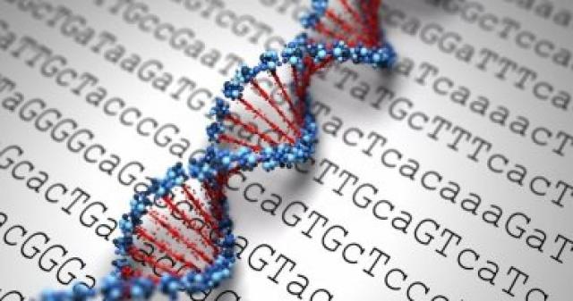 الجينات الوراثية تجعل الشخص أكثر عرضة لأعراض كورونا الحادة.. دراسة توضح