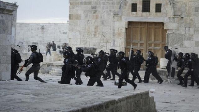 جيش الاحتلال يعتقل 13 فلسطينيا في الضفة الغربية