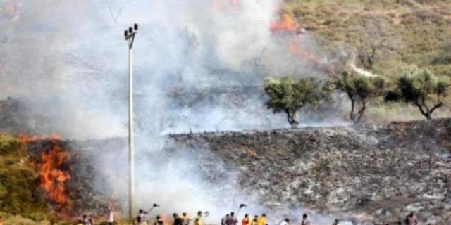 مستوطنون يحرقون أراضي زراعية ويهاجمون المنازل جنوب نابلس