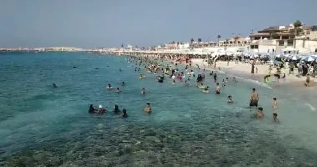 شواطئ الإسكندرية