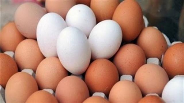حازم المنوفي استقرار للسلع الغذائية الاستراتيجية وارتفاع لأسعار البيض