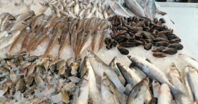 ”خطة النواب”: الحكومة تستهدف زيادة الإنتاج السمكى لـ3.5 مليون طن بالموازنة الجديدة