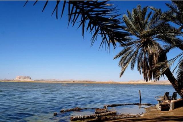 الحكومة تنفي إصدار قرار بتجفيف بحيرة ”فطناس” في واحة سيوة