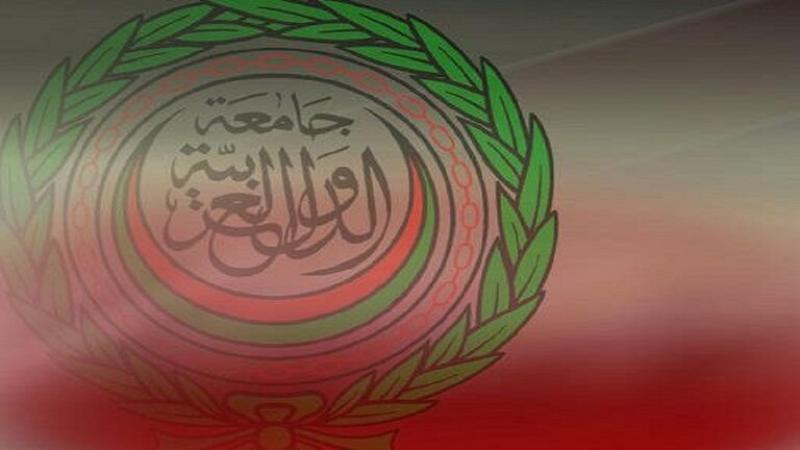 باتيلي: موقف البرلمان العربي ثابت بشأن دعم كل ما يحافظ على سيادة الدولة الليبية