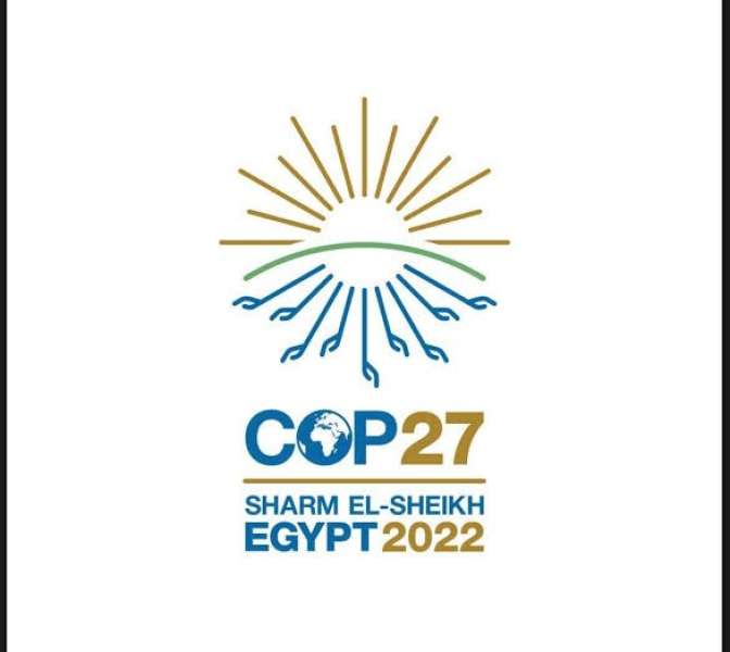 عضو اللجنة المنظمة لـcop27: أكثر من 2000 شاب يشاركون في تنظيم قمة المناخ