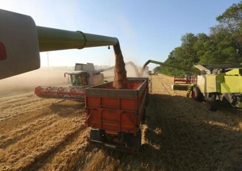 ناسا: روسيا حصدت 5.8 مليون طن تقريبا من القمح الأوكراني