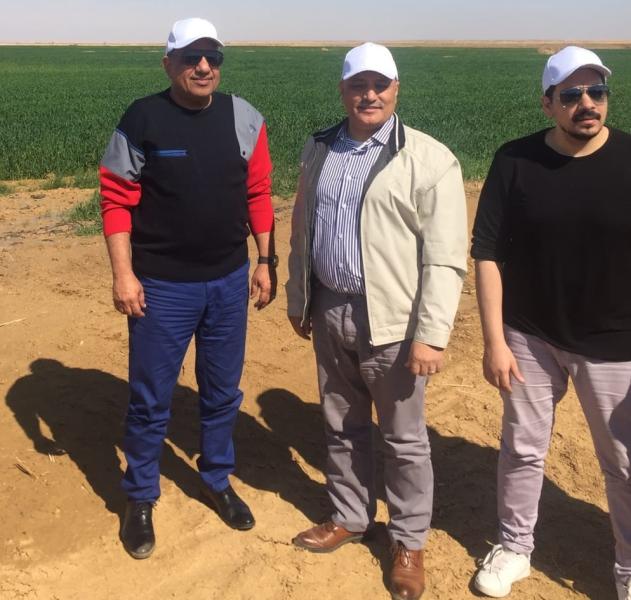 وزير قطاع الأعمال من توشكى: التوسع في زراعة القمح وزيادة مساحته لـ50%