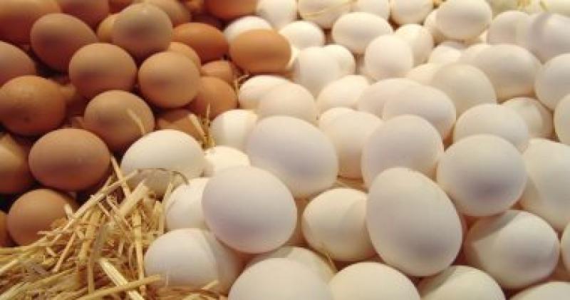 تعرف على تأثير البيض على مستوى الكوليسترول في الجسم