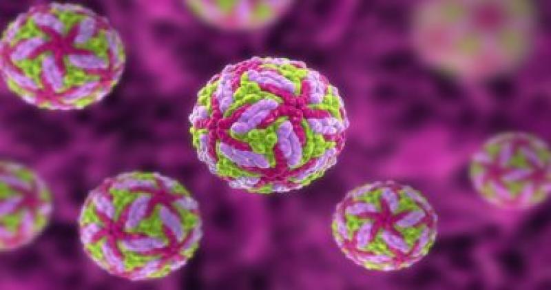 الصحة: إصدار الدليل الإرشادي للتعامل مع أي حالات إصابة بفيروس ماربورج