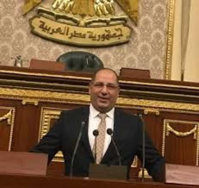 النائب أحمد نويصر يثمن موقف مصر  الداعم للقضية الفلسطينية