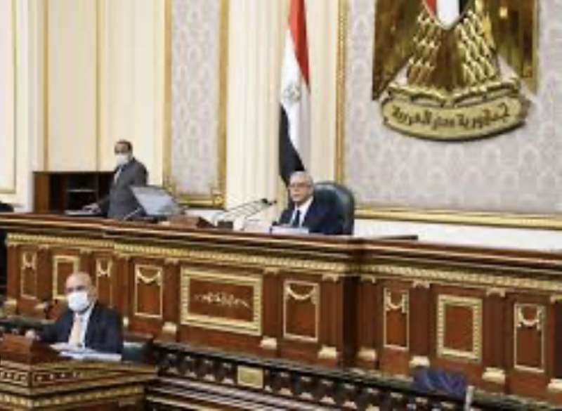 النائبة أميرة صابر تتقدم بطلب إحاطة بخصوص سرية بيانات المصريين في الخارج على مواقع التواصل الاجتماعي