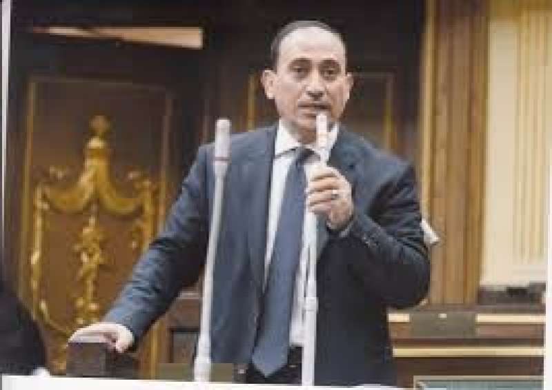 برلماني يطالب بخطة توعوية للمواطنين في مواجهة حملات تسعى لتشويه صورة مصر
