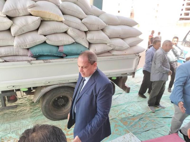 توريد 39 ألف طن من محصول القمح بالشون والصوامع الحكومية بمراكز المنيا