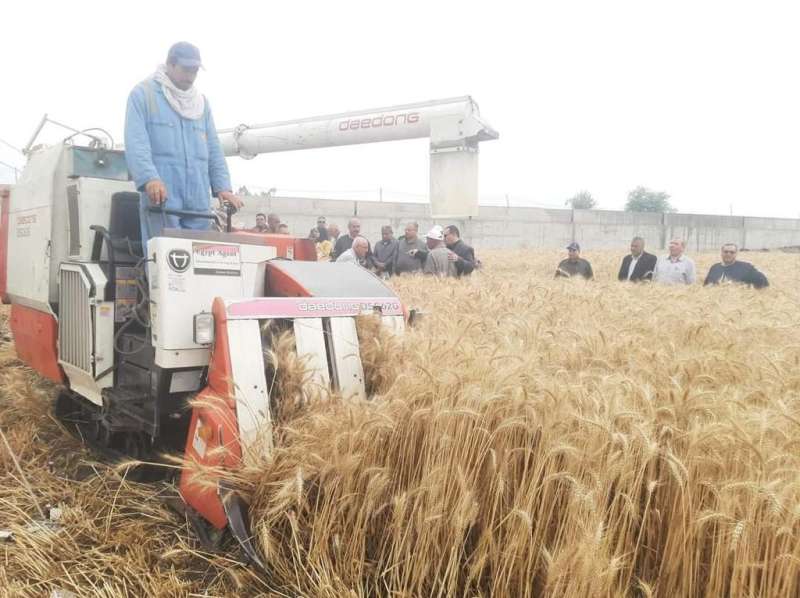 الزراعة تنظم يوم حصاد في محافظة الدقهلية ضمن أنشطة الحملة القومية للنهوض بمحصول القمح