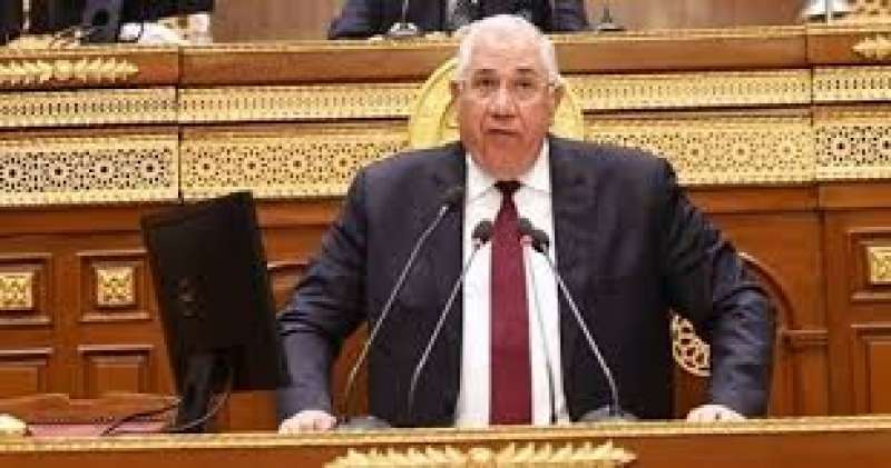 وزير المالية أمام البرلمان: الاستثمار فى مصر تأثر كثيرًا بسبب الحرب الروسية
