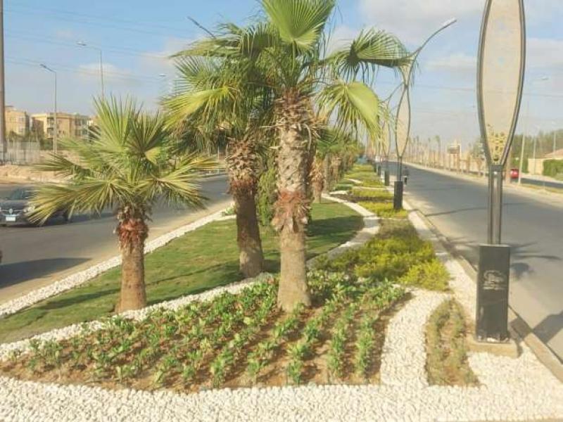 انتهاء أعمال تطوير طريق زويل في حدائق الأهرام قبل 30 يونيو