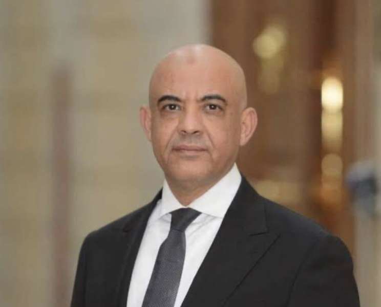 النائب عمرو هندي: الأزمة الاقتصادية لن تحل إلا من خلال المصريين بالخارج