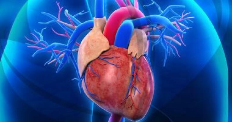 عوامل تزيد مخاطر الإصابة بأمراض القلب