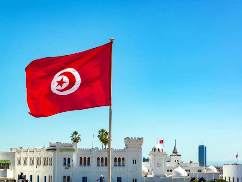 تونس تدين العمليات العسكرية لقوات الاحتلال بمدينة جنين ومخيمها بالضفة الغربية