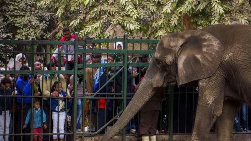 حديقة الحيوان بالجيزة