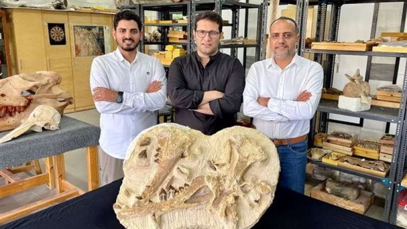 مصر تكتشف أحد أقدم الحيتان في إفريقيا