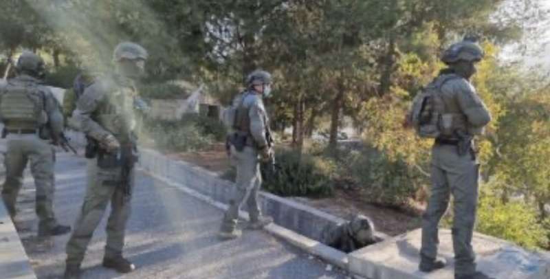 جيش الاحتلال الإسرائيلي يدفع بقوات راجلة داخل قطاع غزة