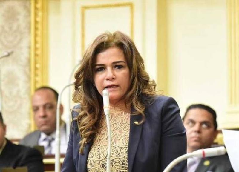 برلمانية تدعو لتخصيص يوم دراسي عن سيناء