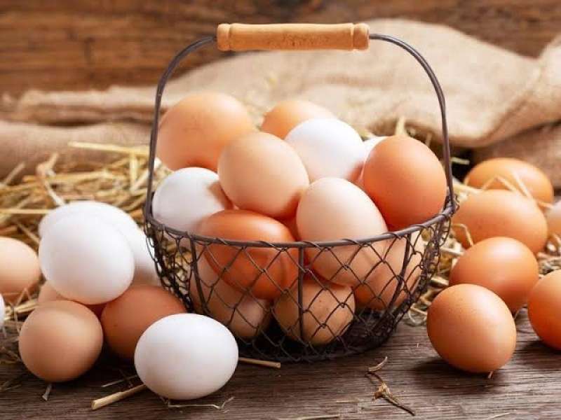 ننشر سعر كرتونة البيض اليوم الخميس