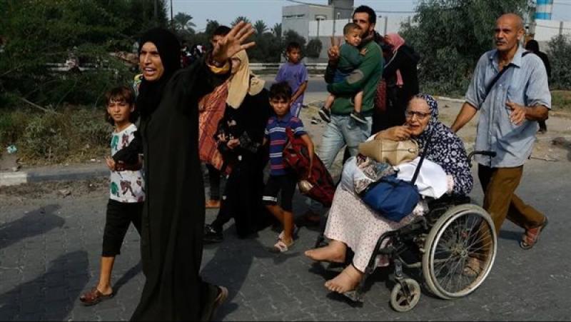 استمرار الاتصالات المصرية القطرية لعودة المفاوضات حول الهدنة في قطاع غزة