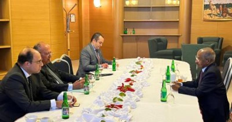 وزير الخارجية يبحث مع نظيره الإريتري الوضع الراهن في منطقة القرن الإفريقي