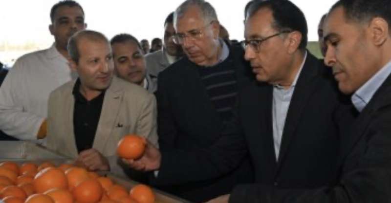 رئيس الوزراء يتفقد محطة شركة جامكو لتعبئة البرتقال واليوسفي بالنوبارية