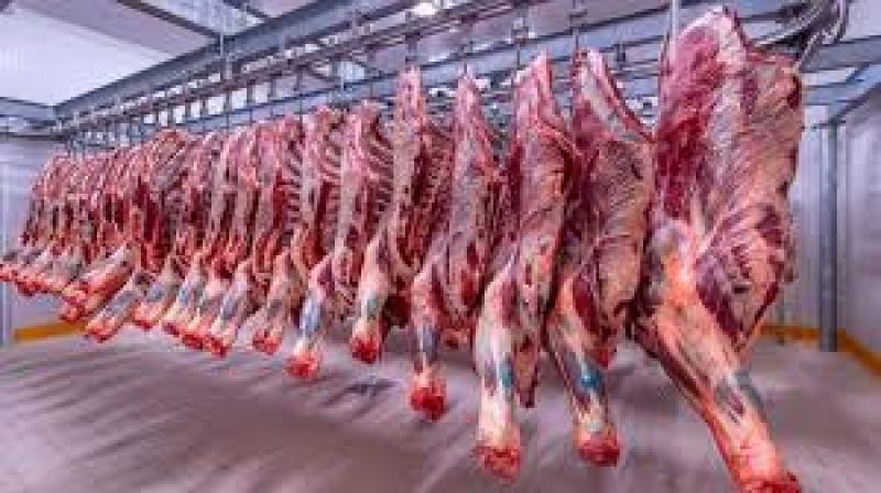 انخفاض أسعار اللحوم.. وكيلو البتلو بـ280 جنيهًا