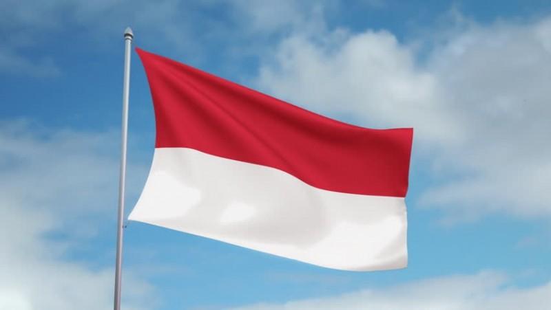 الحكومة الإندونيسية تعلن عن 14 مشروعا استراتيجيا جديدا