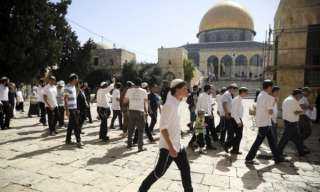 مصادر فلسطينية: مستعمرون يقتحمون المسجد الأقصى في أول أيام عيد الفصح اليهودي