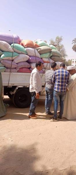 شون وصوامع المنيا تستقبل 41 طناً من محصول القمح لموسم حصاد 2024