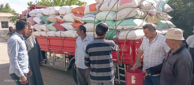 انتظام توريد القمح لشون البحيرة.. واستلام 176 ألف طن من محصول موسم 2024