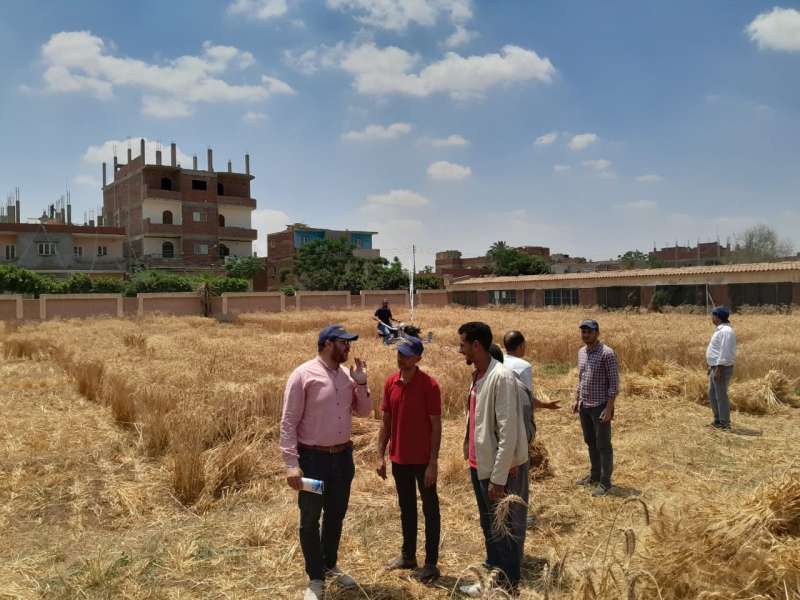 الزراعة: جهاز التنمية الشاملة يوزيع 70 ماكينة حصاد قمح على قرى محافظتى سوهاج والشرقية
