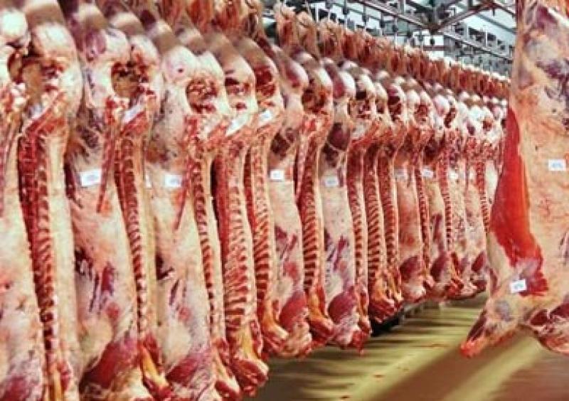 مسئول بشركة اللحوم والدواجن: ضخ متزايد يوميا بالمنافذ والتخفيضات تصل لـ40%