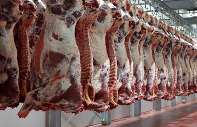 التموين: ضخ اللحوم والدواجن بتخفيضات 40% عن الأسواق بمنافذ القابضة الغذائية