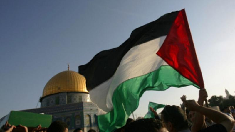 الحكومة الأيرلندية تعلن اعترافها رسميا بدولة فلسطين