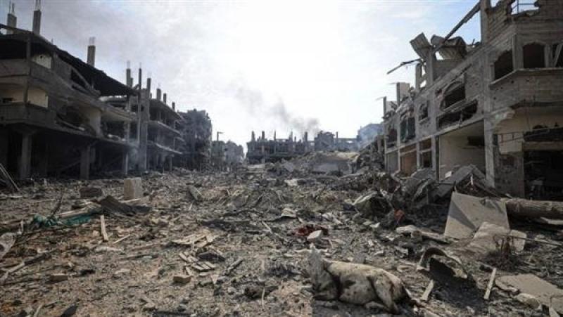 مسؤول فلسطيني يطالب بإعلان غزة منطقة منكوبة بسبب المجاعة والكارثة البيئية