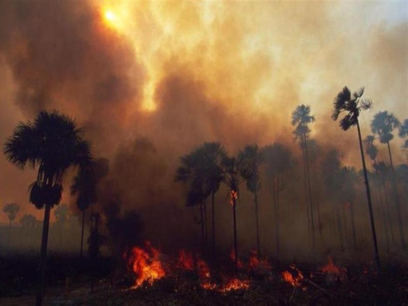 البرازيل.. الأراضي الرطبة في بانتانال تشهد عددا قياسيا من حرائق الغابات