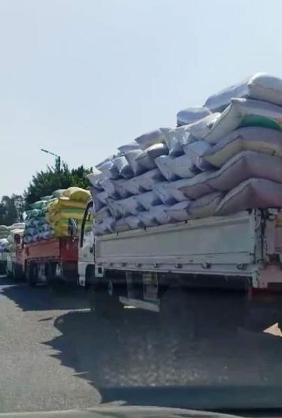 ارتفاع توريد محصول القمح لصوامع وشون محافظة الشرقية