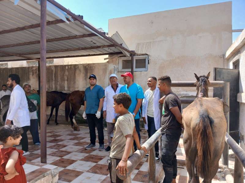 جان بمن القافلة