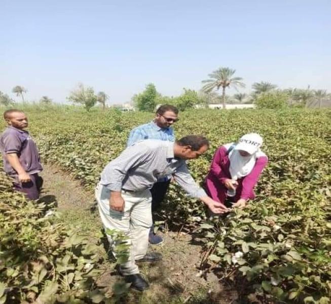 محافظ الفيوم يتابع جهود مديرية الزراعة خلال شهر أغسطس الماضي