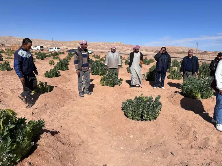 فرق بحثية من مركز بحوث الصحراء تقدم الدعم الفني والإرشادي للمزارعين في سيناء