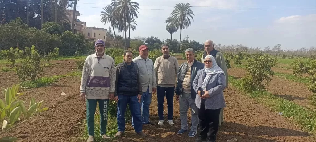 «الزراعة» تتفقد زراعات البساتين والصوب الزراعية والمشاتل بالغربية