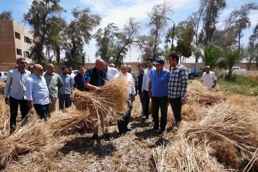 محافظ أسيوط يشارك العمال احتفالات عيدهم ويتفقد حصاد 40 فدان قمح بمزرعة بني سند بمنفلوط