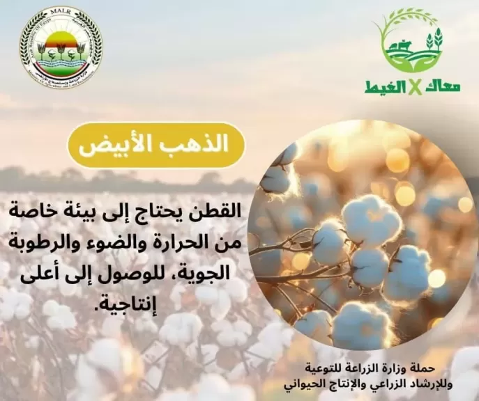 الزراعة التعاقدية تنظم ندوات إرشادية بالمحافظات