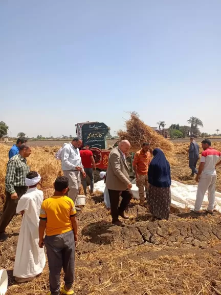 الإصلاح الزراعي يتابع حصاد القمح بالمحافظات